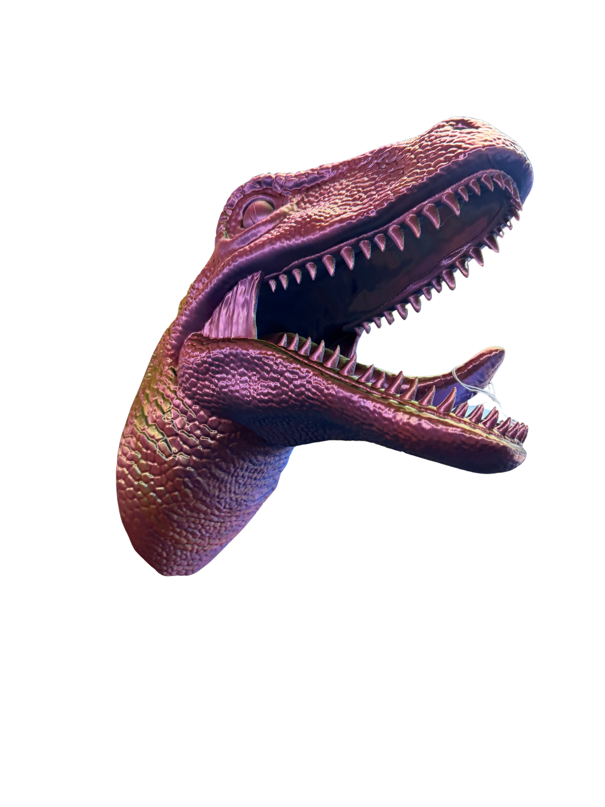 Rapter Head Holder