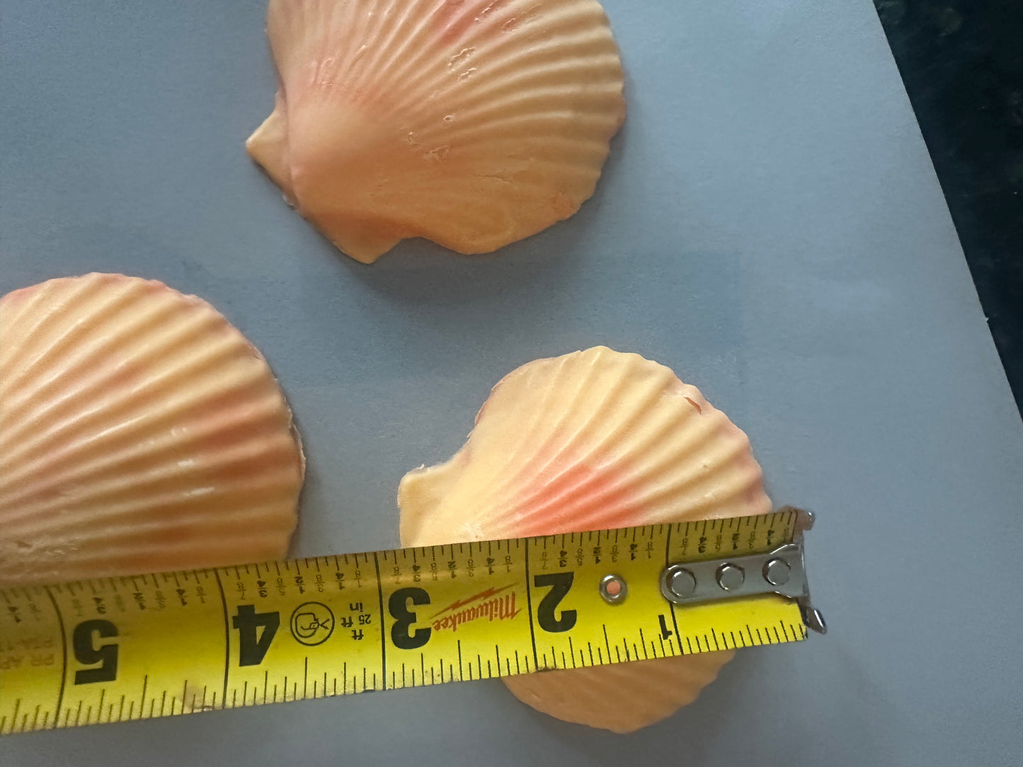 Set of 3 Decorative Scallop Shell Soaps, Peach Mango