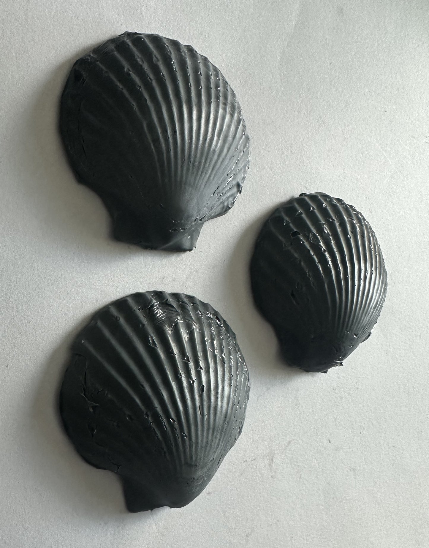 Midnight Shells: Coastal Elegance in Charcoal Soap - Set of 3