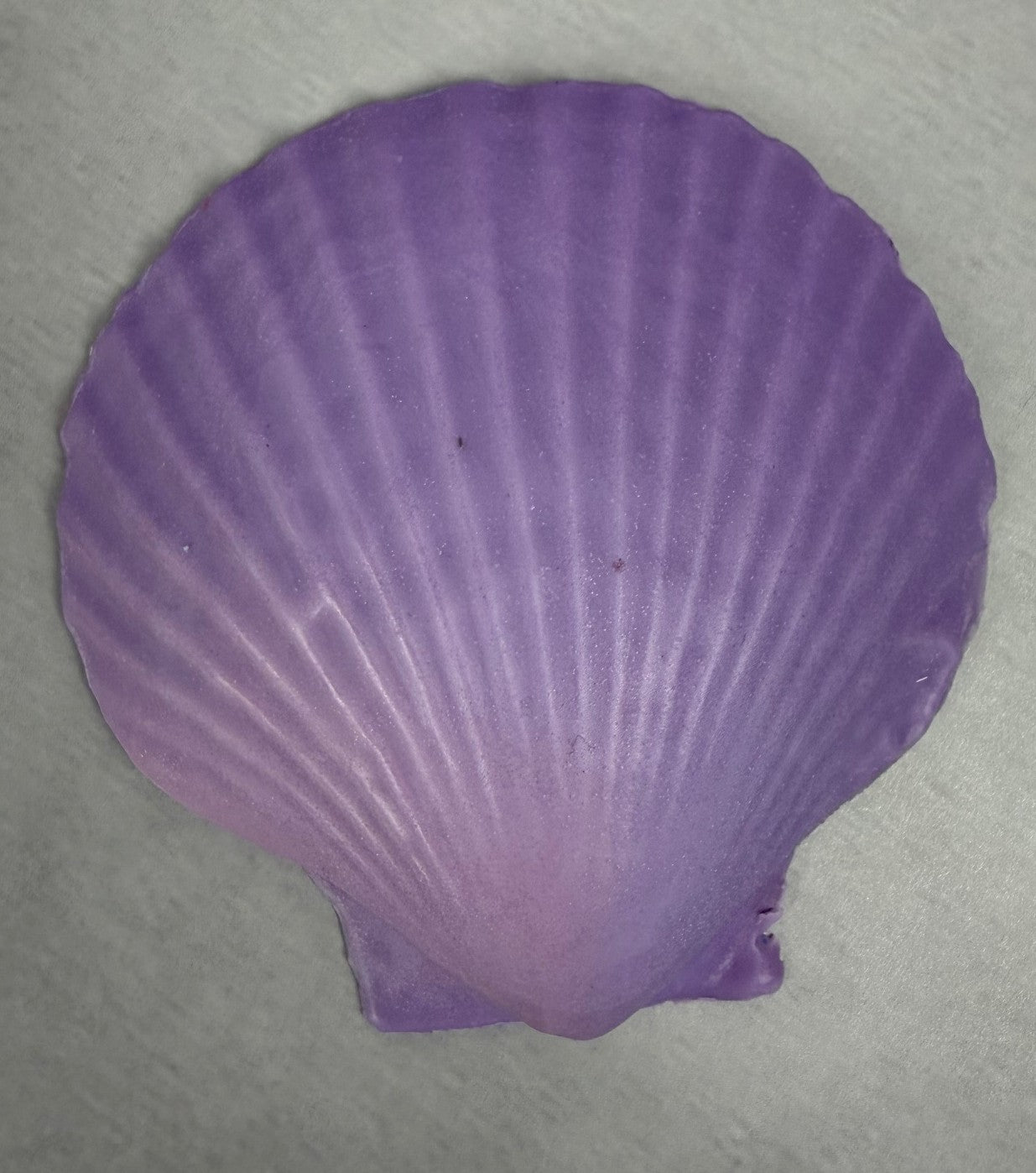 Black Cherry Seashell Soaps