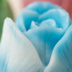 Tulip Soap Set of 4 – Handmade Novelty Bars