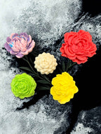 Succulent & Floral Soap Gift Set – 5 Pack of Handmade Bar Soaps | Veteran-Owned, Made in Florida