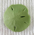 Coastal Calm Sand Dollar Collection Set of 2 Soap Bars