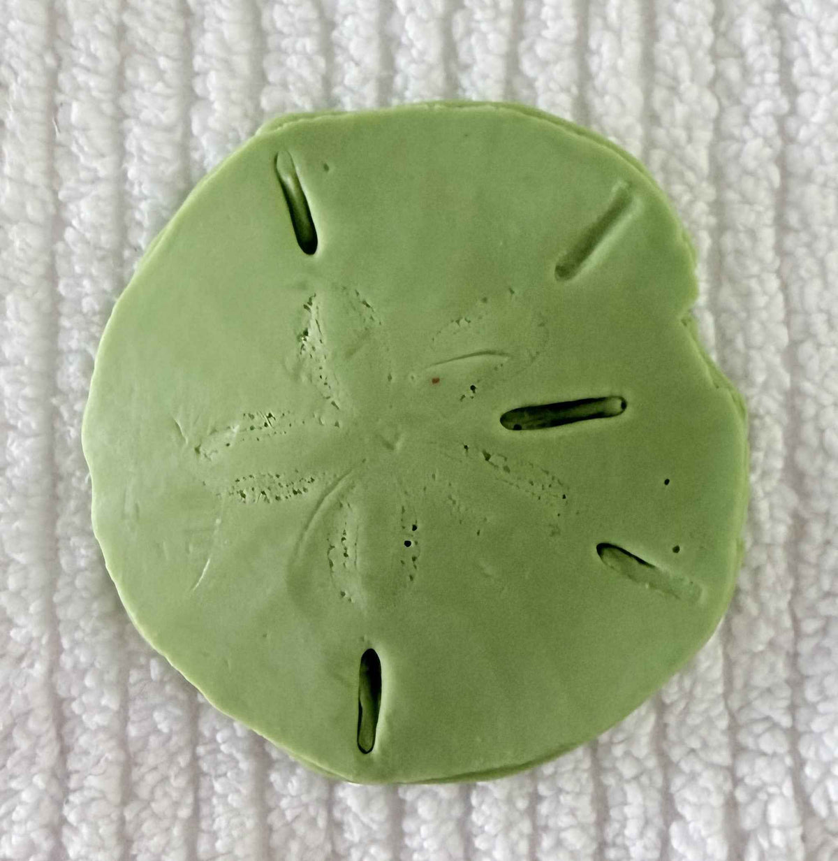 Coastal Calm Sand Dollar Collection Set of 2 Soap Bars
