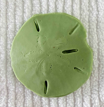 Coastal Calm Sand Dollar Collection Set of 2 Soap Bars