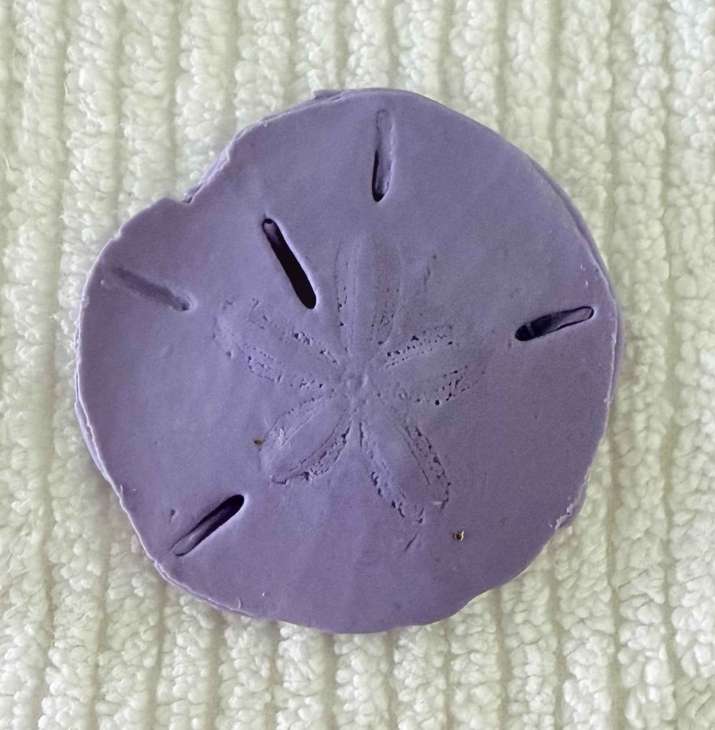Coastal Calm Sand Dollar Collection Set of 2 Soap Bars