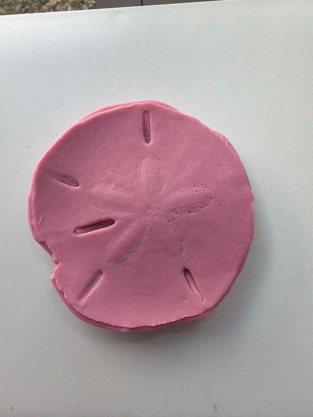 Coastal Calm Sand Dollar Collection Set of 2 Soap Bars