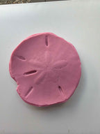 Coastal Calm Sand Dollar Collection Set of 2 Soap Bars