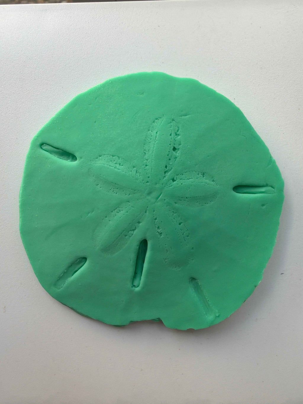 Coastal Calm Sand Dollar Collection Set of 2 Soap Bars