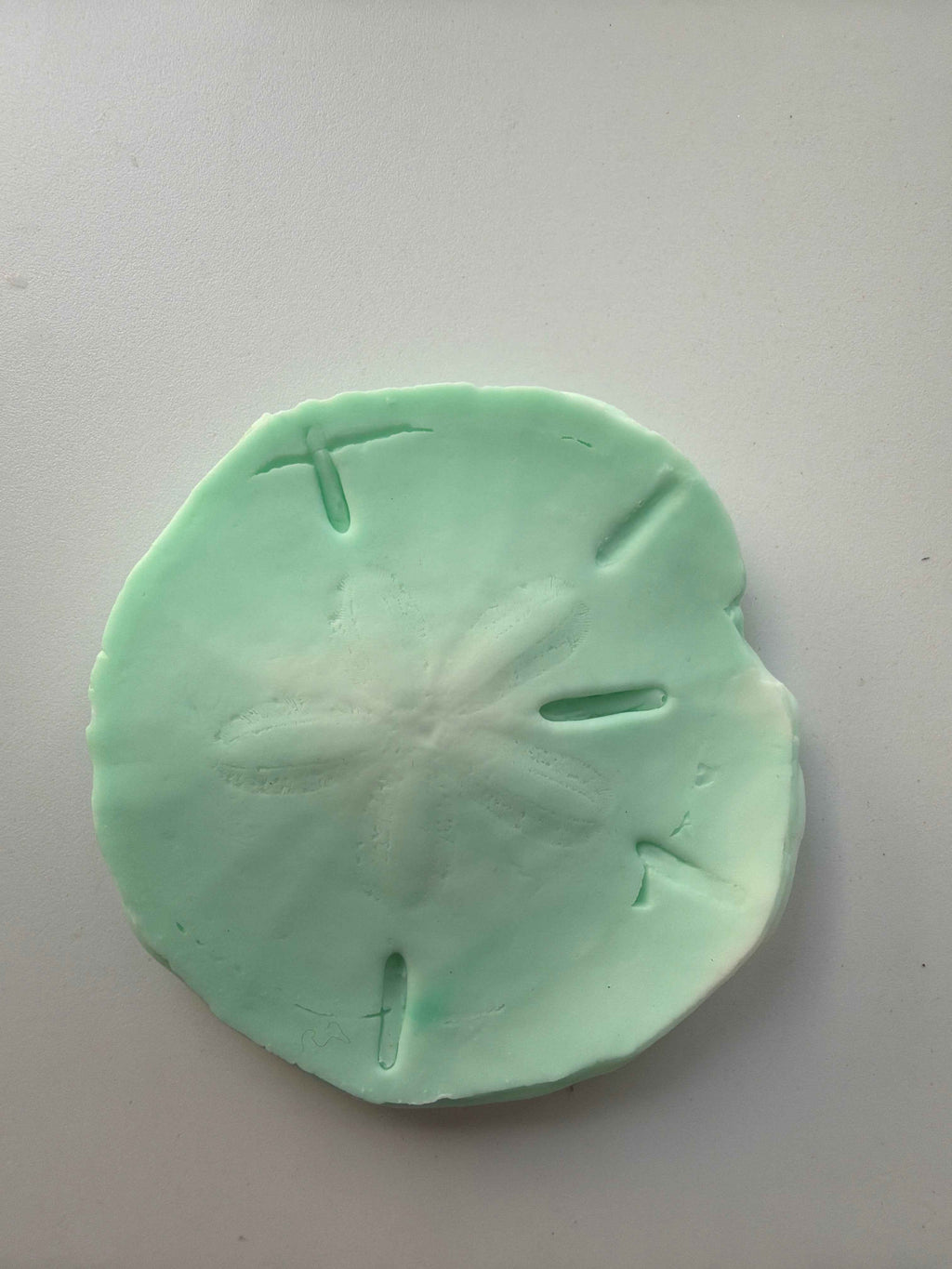Coastal Calm Sand Dollar Collection Set of 2 Soap Bars