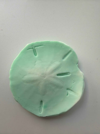 Coastal Calm Sand Dollar Collection Set of 2 Soap Bars