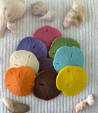 Coastal Calm Sand Dollar Collection Set of 2 Soap Bars
