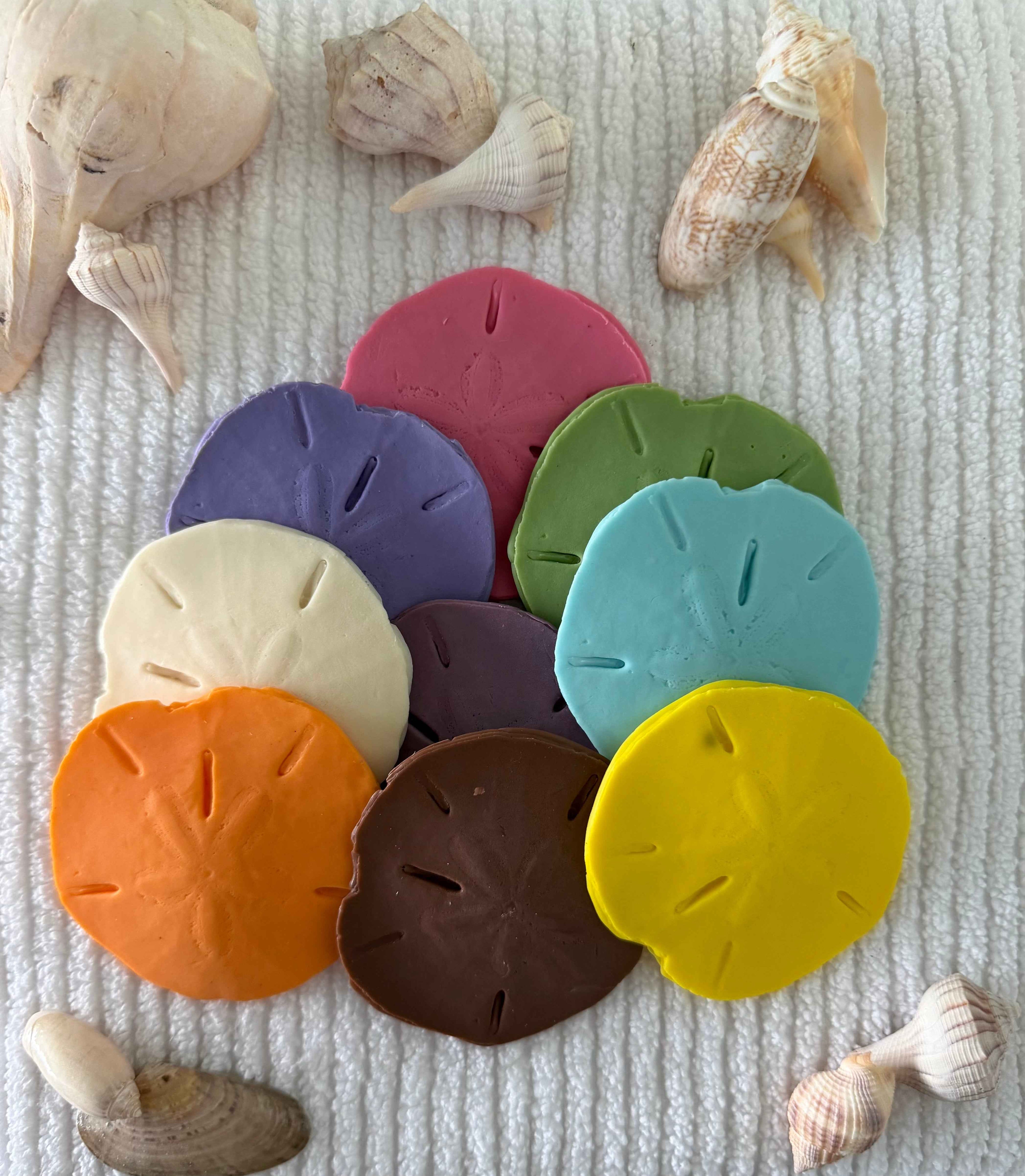 Coastal Calm Sand Dollar Collection Set of 2 Soap Bars