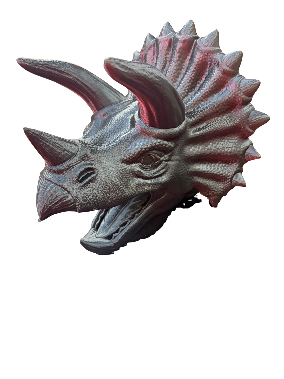 Triceratops Head