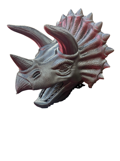 Triceratops Head
