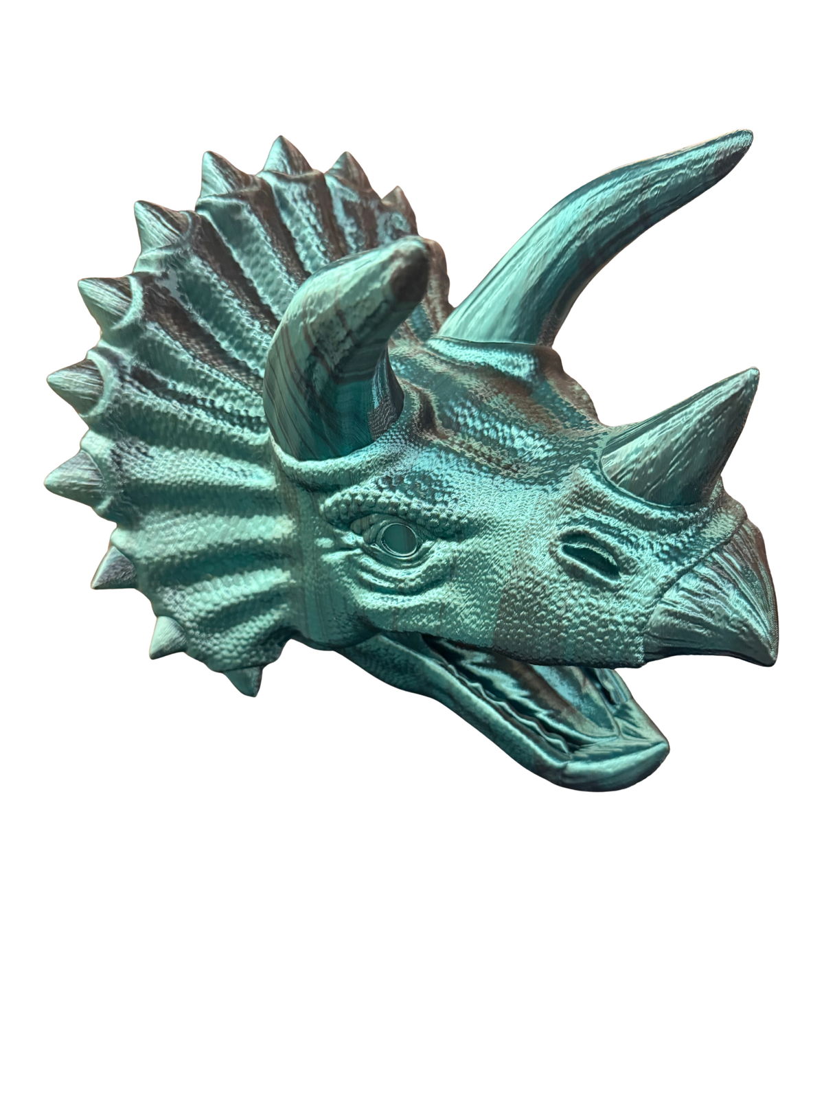 Triceratops Head