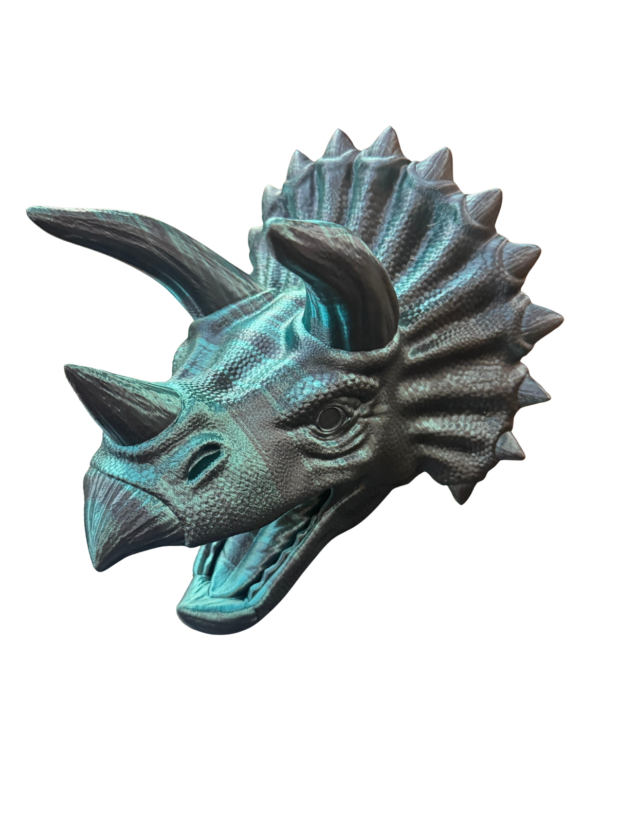 Triceratops Head