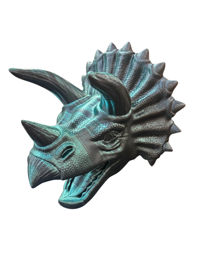 Triceratops Head