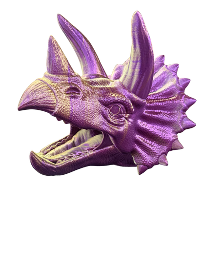 Triceratops Head