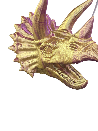 Triceratops Head