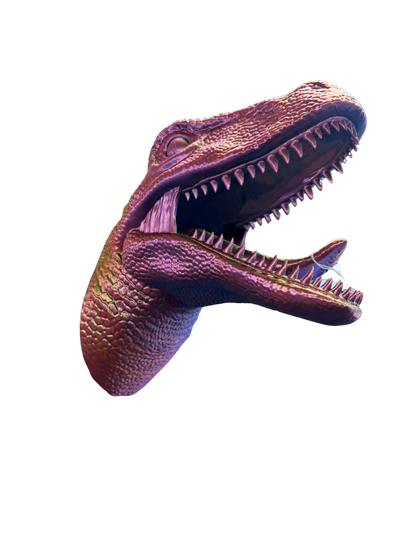Rapter Head Holder
