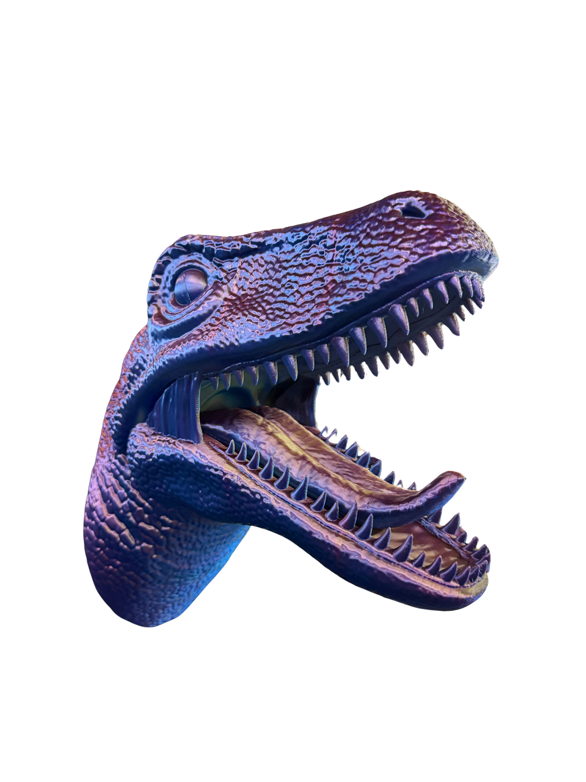 Rapter Head Holder