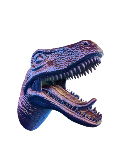 Rapter Head Holder