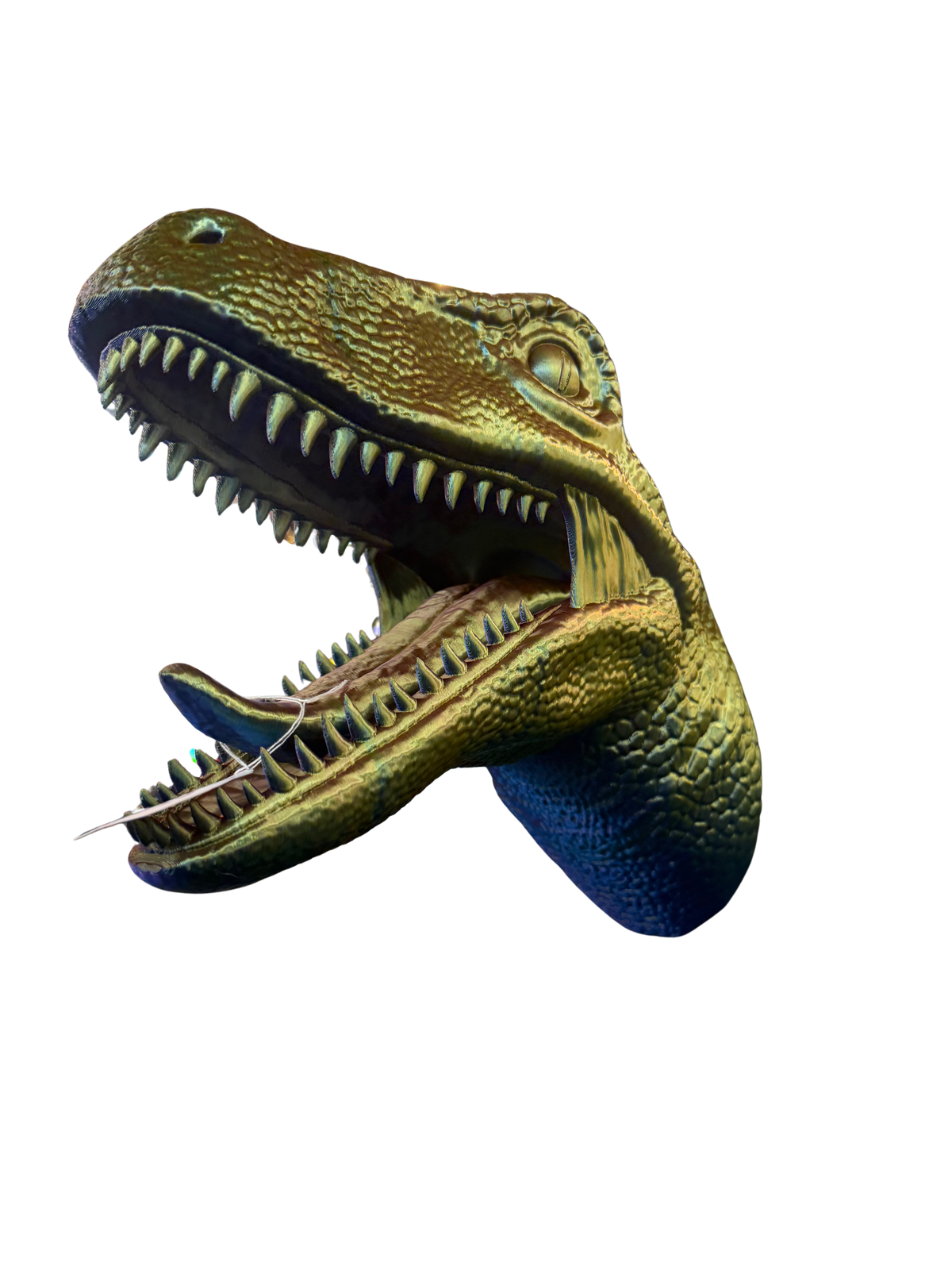 Rapter Head Holder