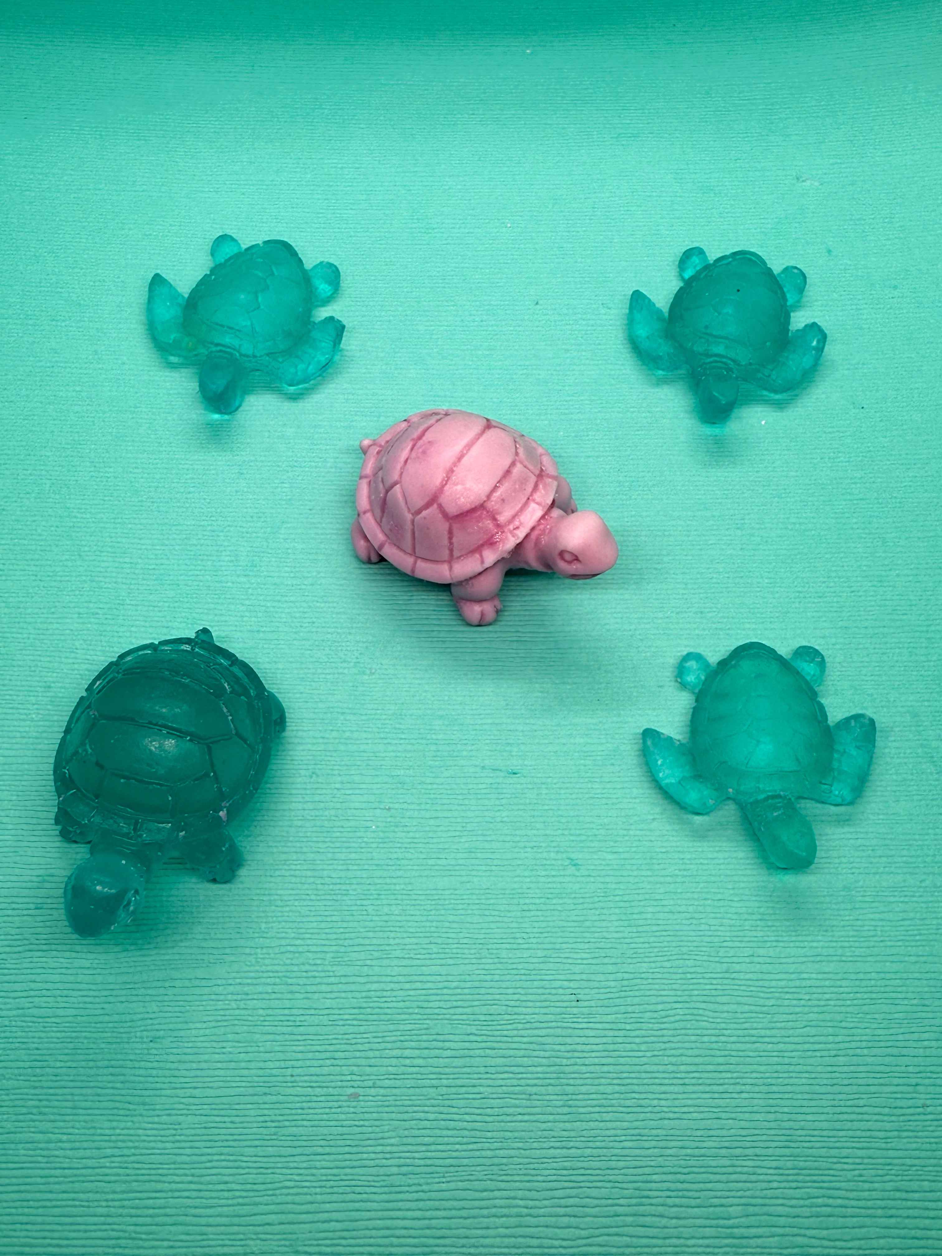 Mini Turtle Collection 🐢