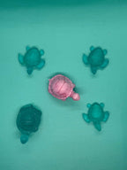 Mini Turtle Collection 🐢