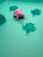 Mini Turtle Collection 🐢