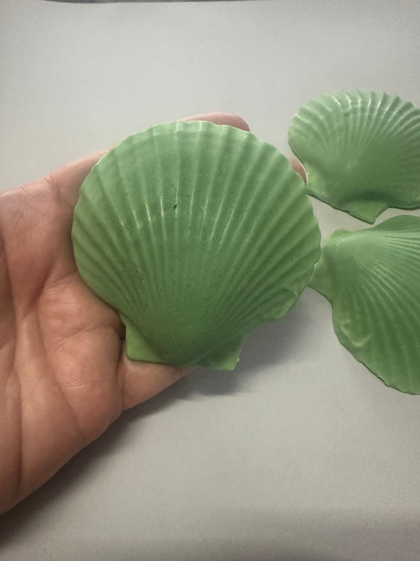 Decorative Sea Shell Soaps with Shea Butter and Vitamin E, Apple Scented, Green, Set of 3