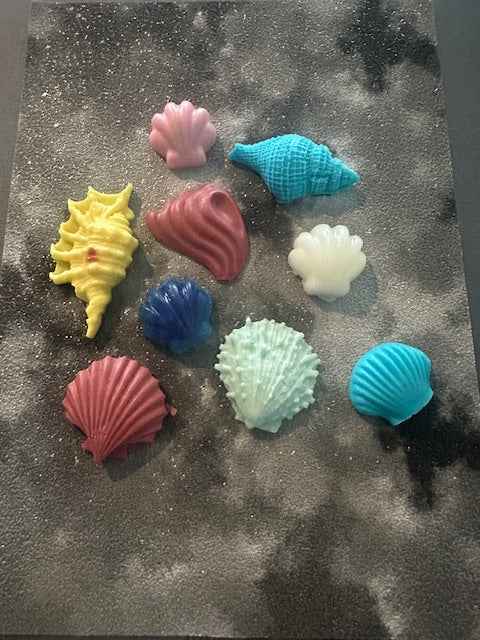 Mini Shell Soap Set | Pack of 5 | Handcrafted Decorative Bar Soap | Gift Ready