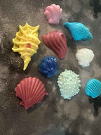 Mini Shell Soap Set | Pack of 5 | Handcrafted Decorative Bar Soap | Gift Ready