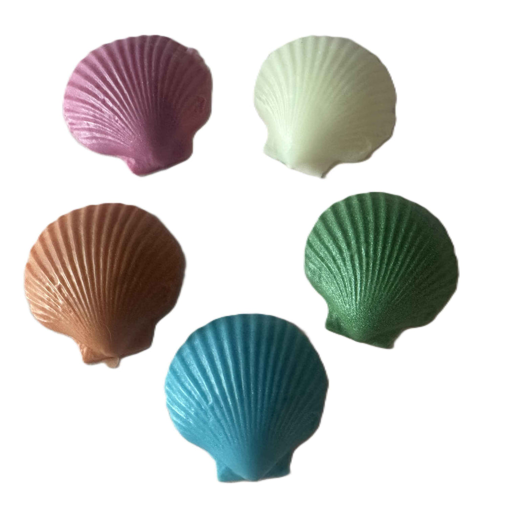 Shell Shaped Soap Set | Pack of 5 | Handcrafted Novelty Bar Soap | Gift Ready