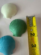 Shell Shaped Soap Set | Pack of 5 | Handcrafted Novelty Bar Soap | Gift Ready