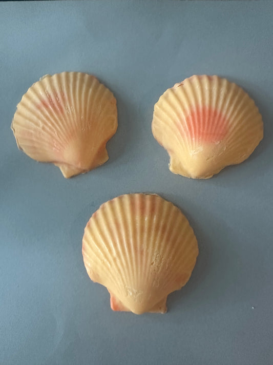 Set of 3 Decorative Scallop Shell Soaps, Peach Mango