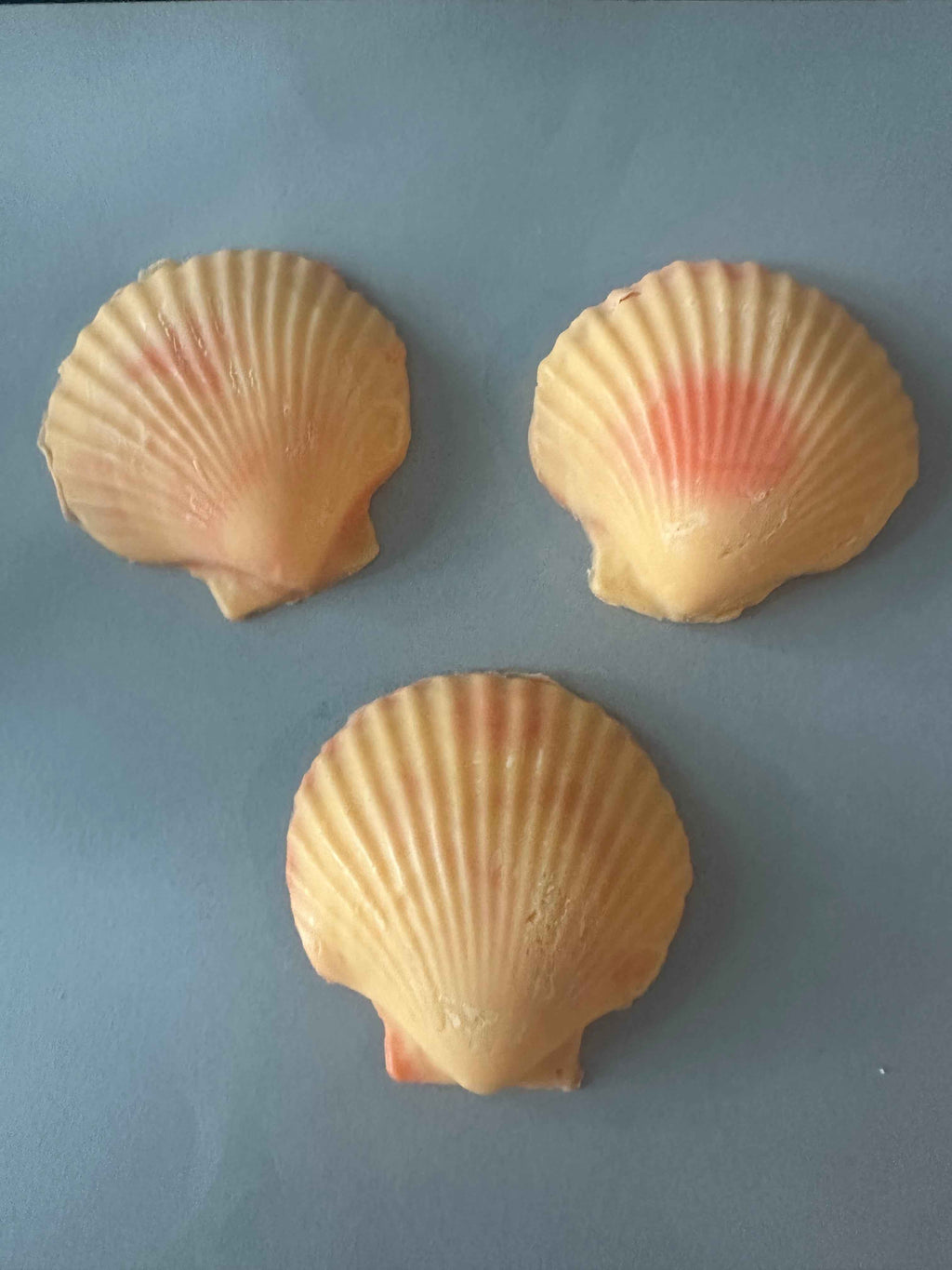Scallop Shell Soap Set | Pack of 3 Handcrafted Bars | SLS Free | Choose Your Scent | Natural Bar Soap