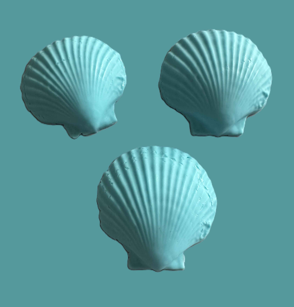 Scallop Shell Soap Set | Pack of 3 Handcrafted Bars | SLS Free | Choose Your Scent | Natural Bar Soap