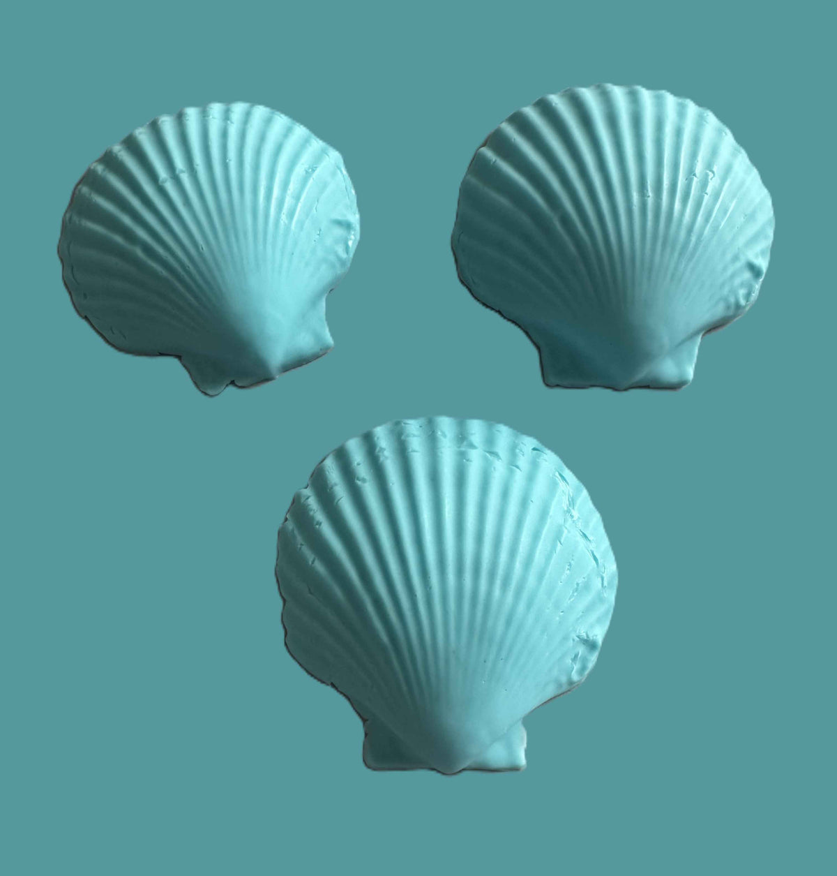 Scallop Shell Soap Set | Pack of 3 Handcrafted Bars | SLS Free | Choose Your Scent | Natural Bar Soap