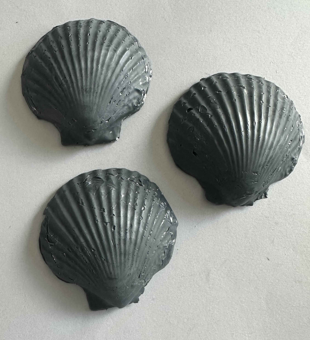 Scallop Shell Soap Set | Pack of 3 Handcrafted Bars | SLS Free | Choose Your Scent | Natural Bar Soap