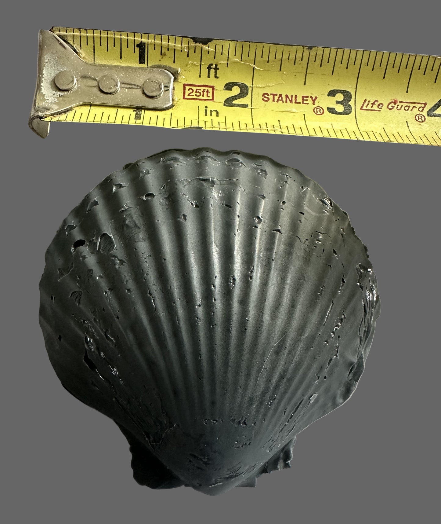 Midnight Shells: Coastal Elegance in Charcoal Soap - Set of 3