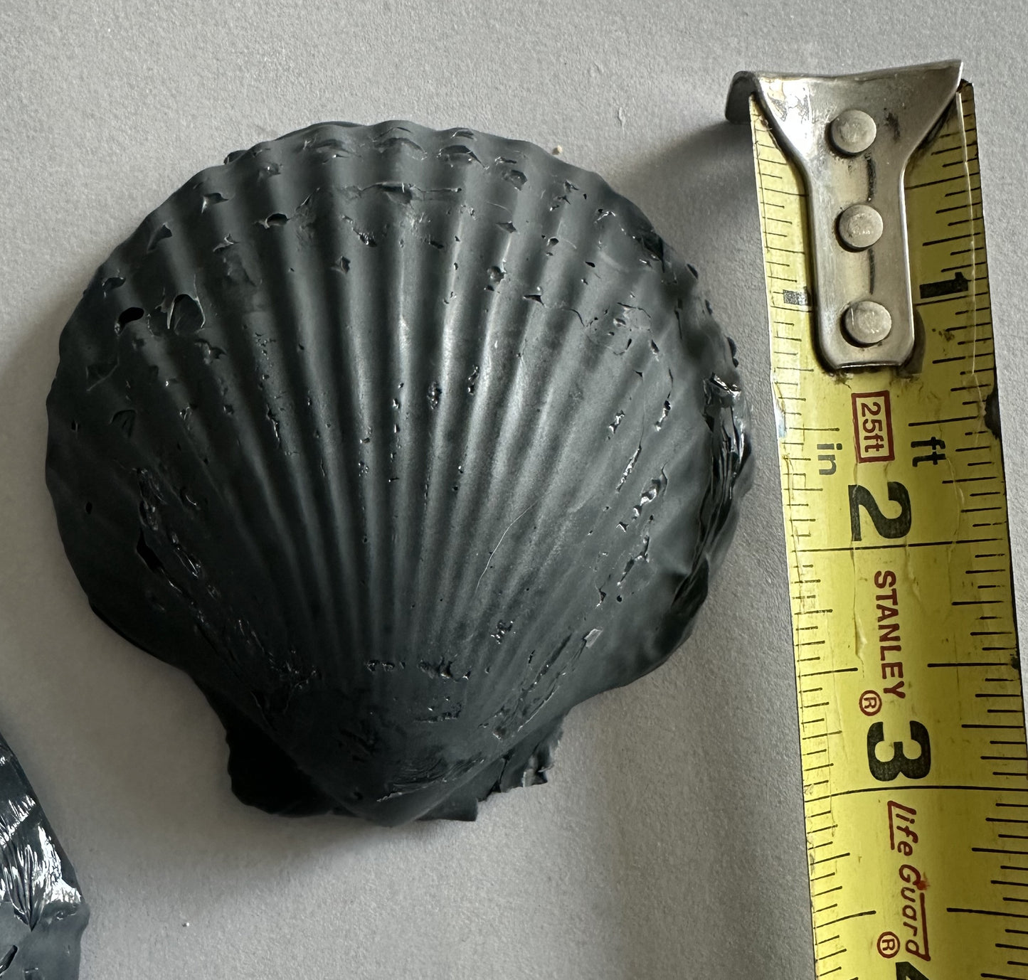 Midnight Shells: Coastal Elegance in Charcoal Soap - Set of 3