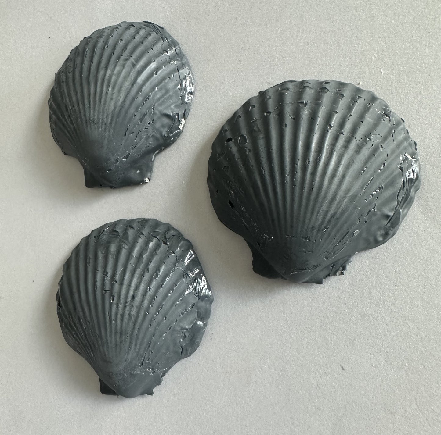 Midnight Shells: Coastal Elegance in Charcoal Soap - Set of 3