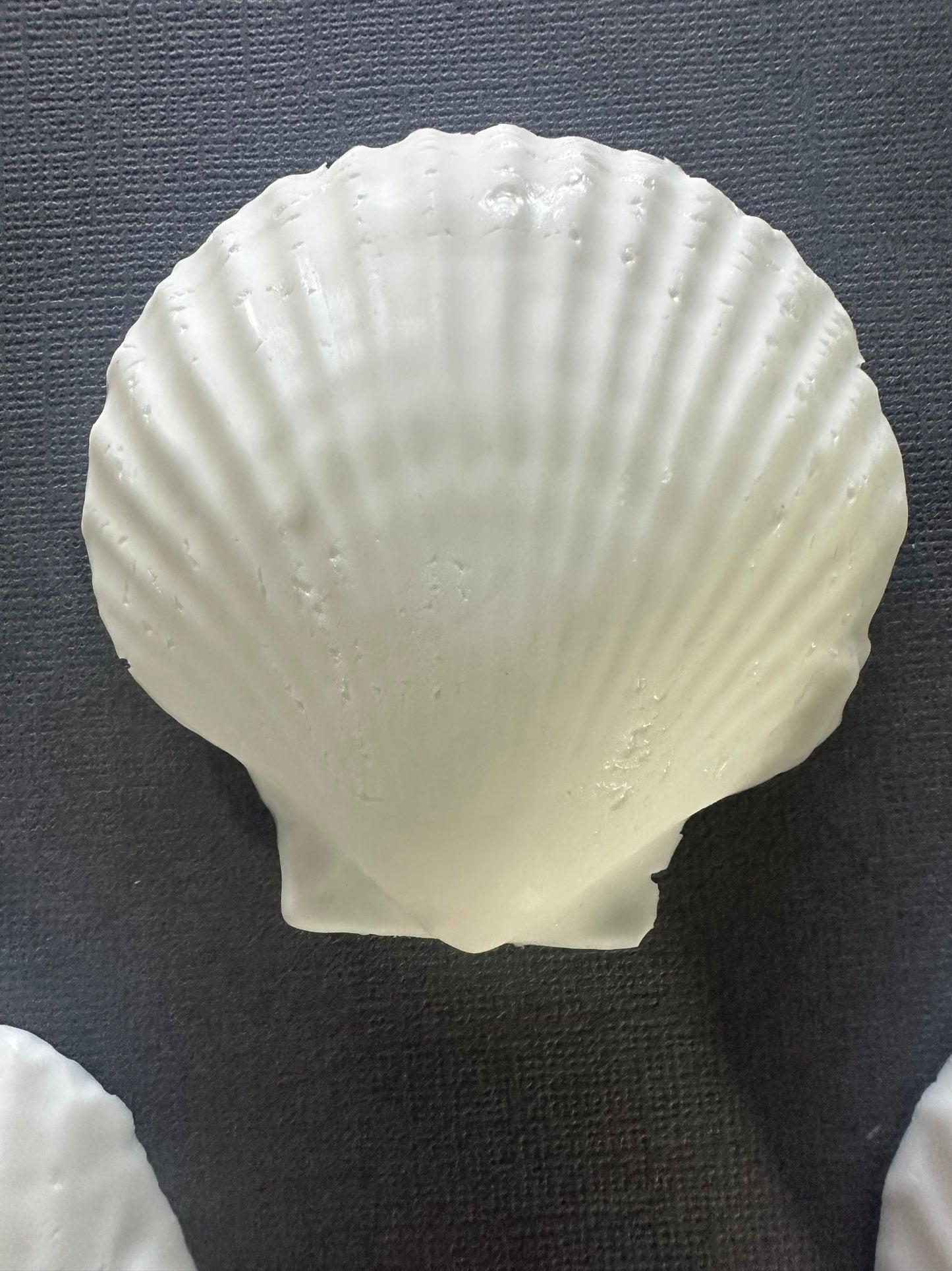 Decorative Seashell Soap Set White, 3-Piece Set, 3 inch Scallop Shells, Vanilla scented