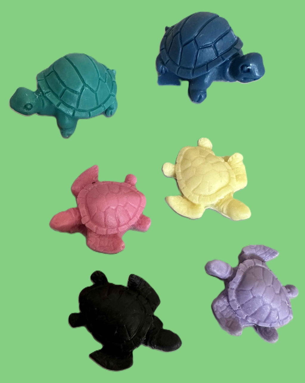 Mini Turtle Collection 🐢