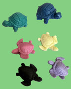 Mini Turtle Collection 🐢