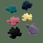 Mini Turtle Collection 🐢