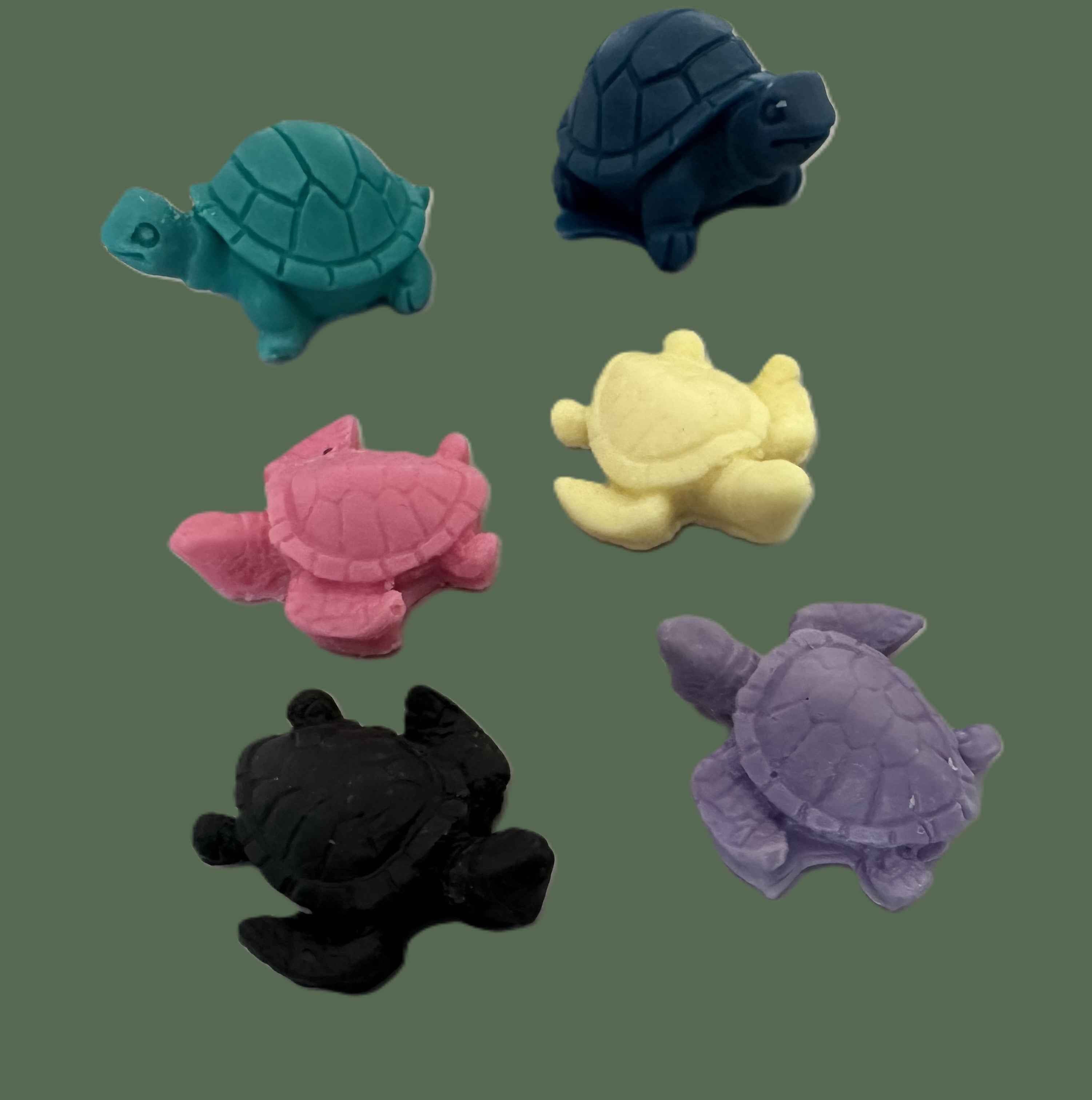 Mini Turtle Collection 🐢