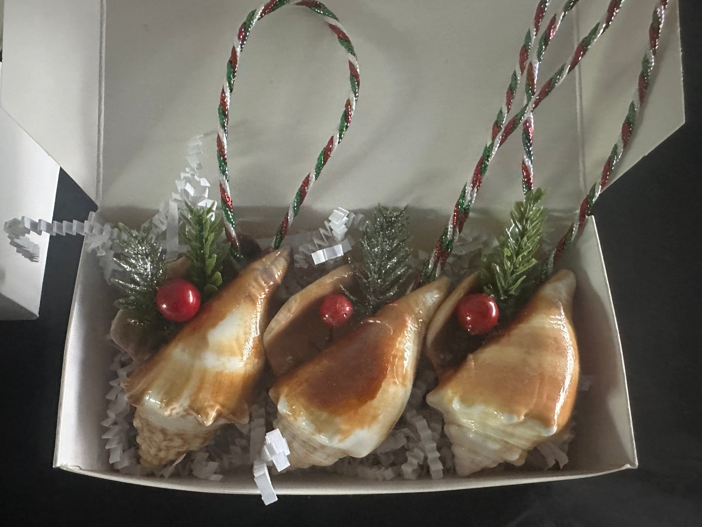 Coastal Christmas Seashell Ornaments with Red Berries, Green Pine Sprigs, Festive Ribbon Hangers, 3 Piece Set